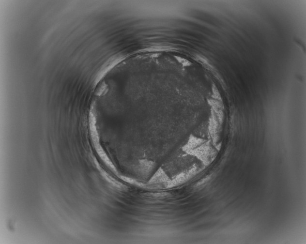 X0000099471425200806061209