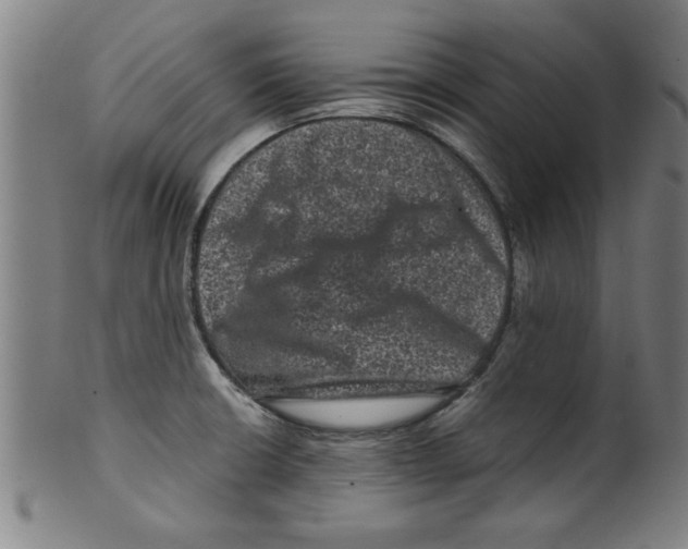 X0000099471426200806061209