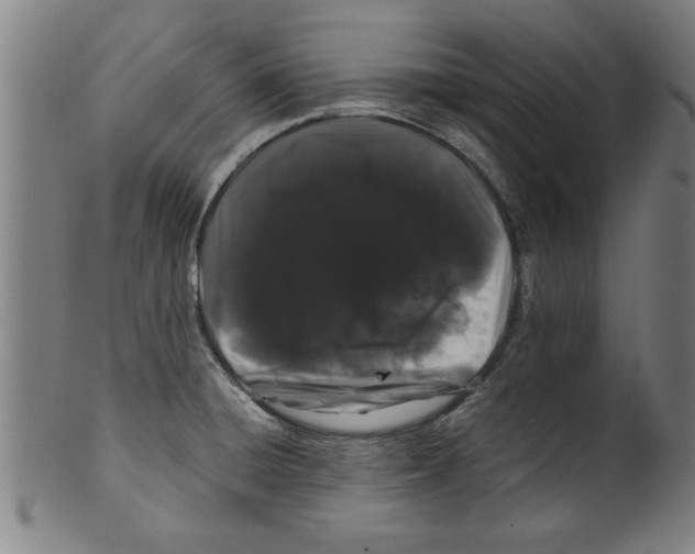 X0000099471428200806061209