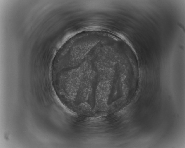 X0000099471429200806061209