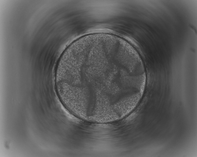 X0000099471430200806061209