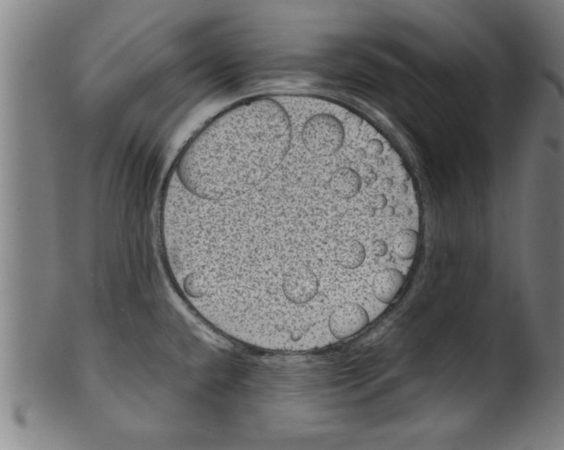 X0000099471432200806061209