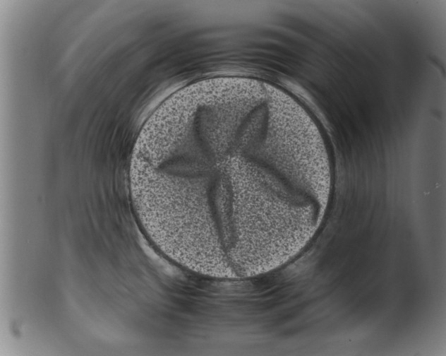 X0000099471433200806061209