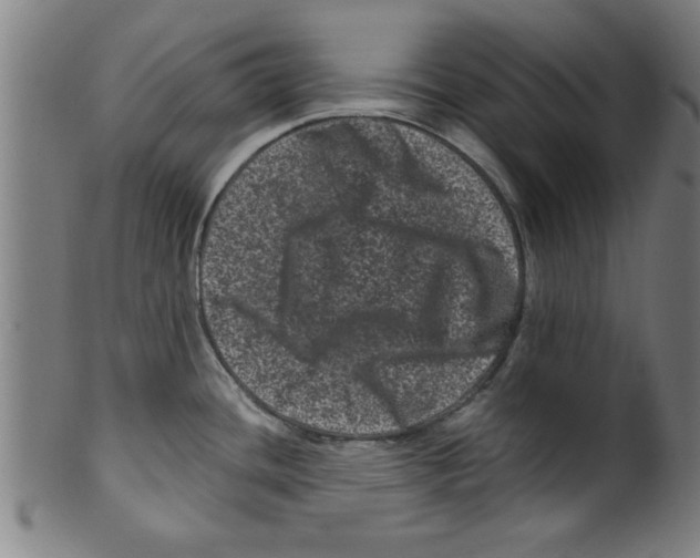 X0000099471436200806061209