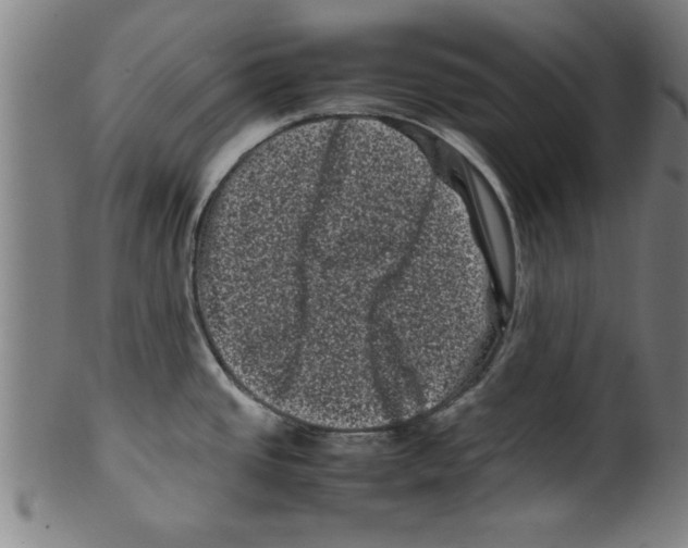 X0000099471437200806061209