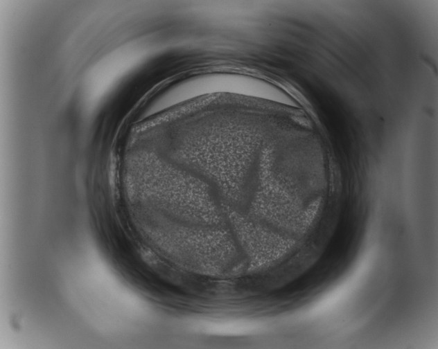 X0000099471438200806061209