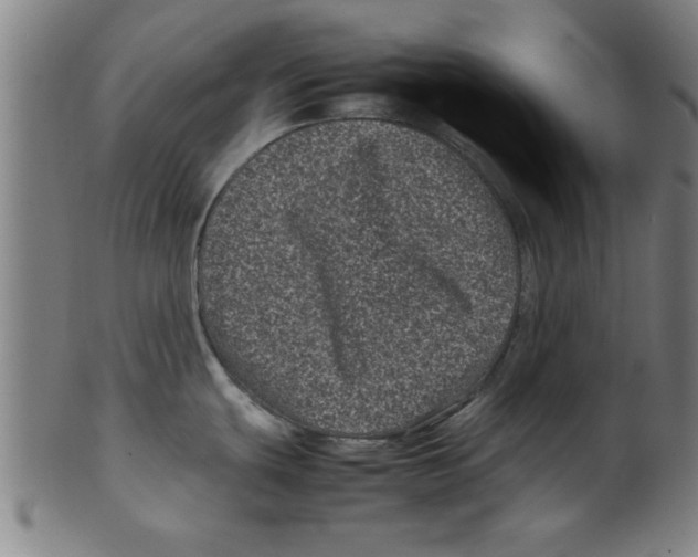 X0000099471439200806061209