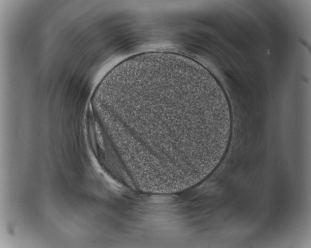 X0000099471440200806061209