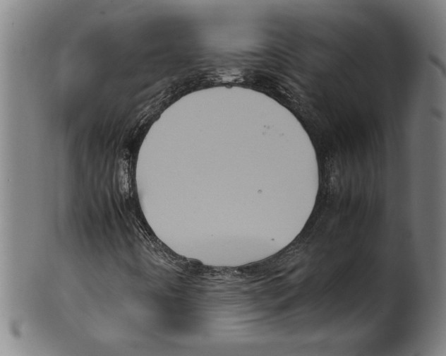 X0000099471442200806061208