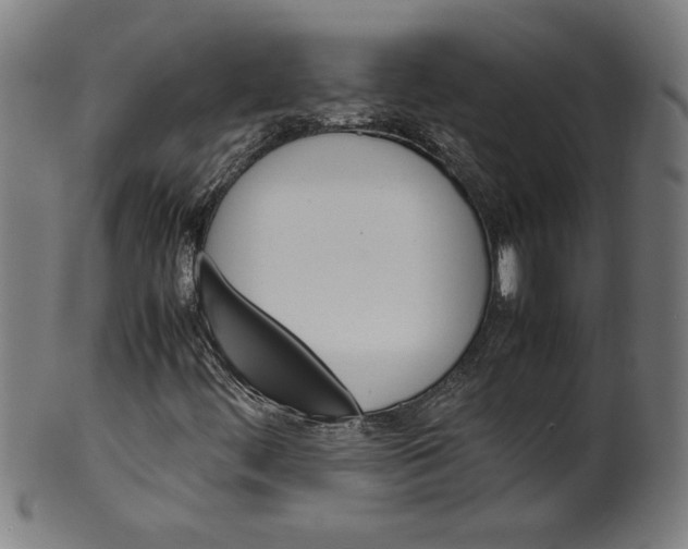 X0000099471444200806061208