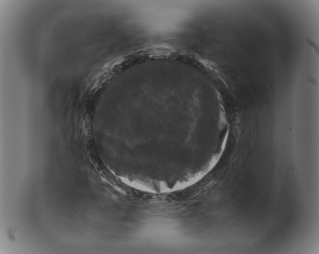 X0000099471445200806061208