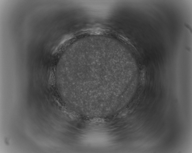 X0000099471446200806061208