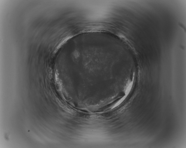 X0000099471449200806061208