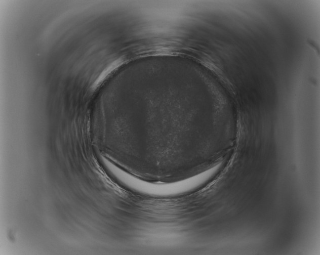 X0000099471450200806061208