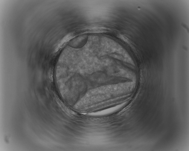 X0000099471451200806061208