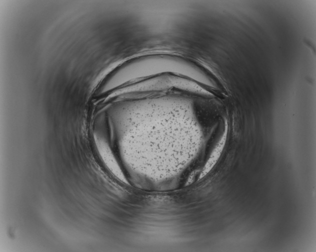 X0000099471452200806061208