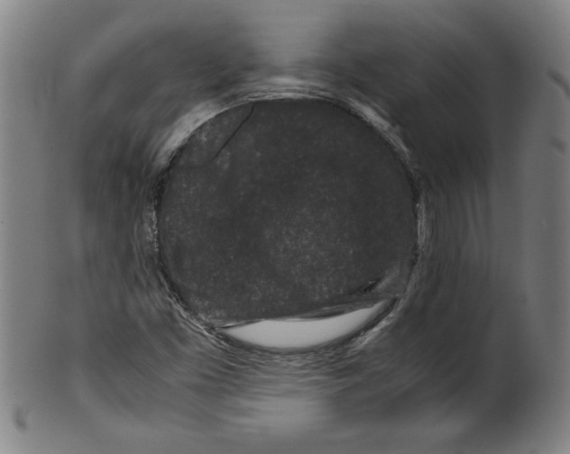 X0000099471453200806061208