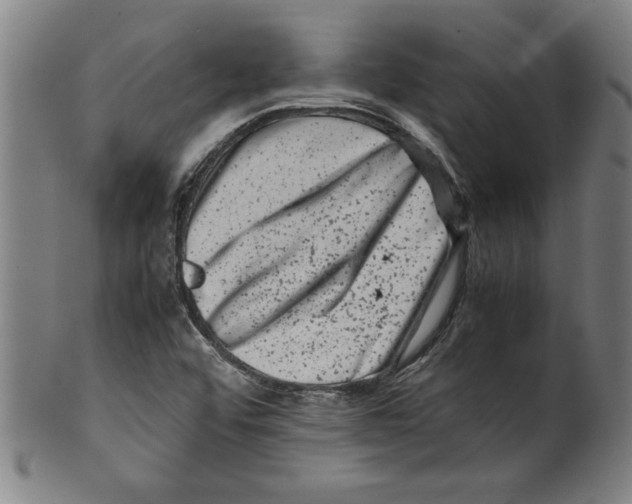 X0000099471456200806061208