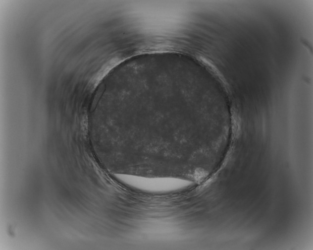 X0000099471457200806061208