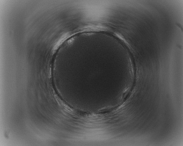 X0000099471459200806061208