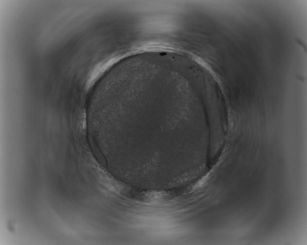 X0000099471461200806061208