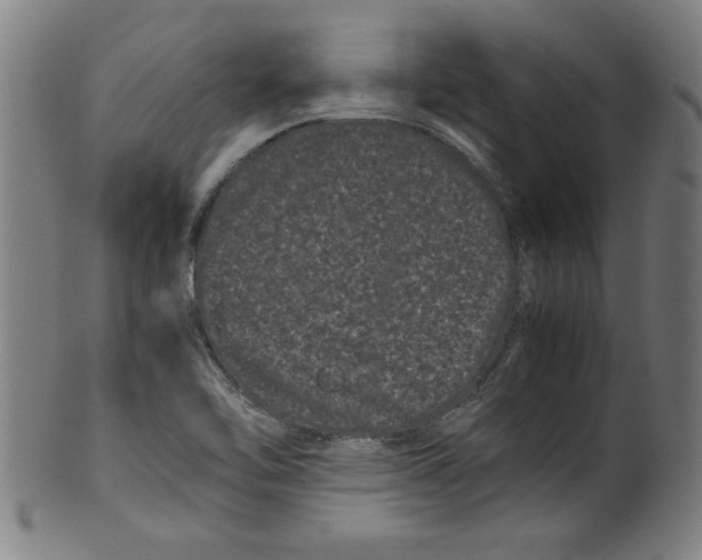 X0000099471462200806061208