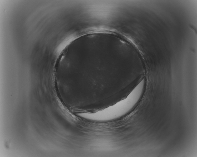 X0000099471463200806061208