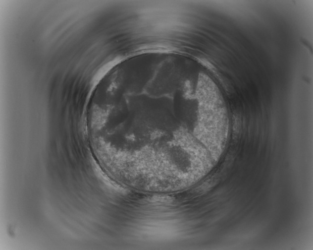 X0000099471466200806061208