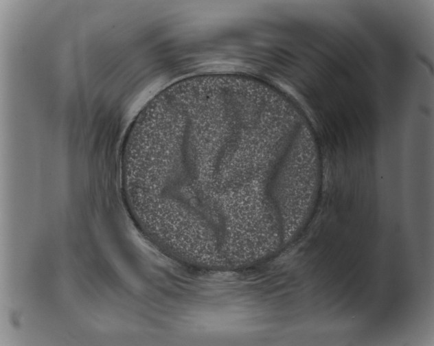 X0000099471467200806061208