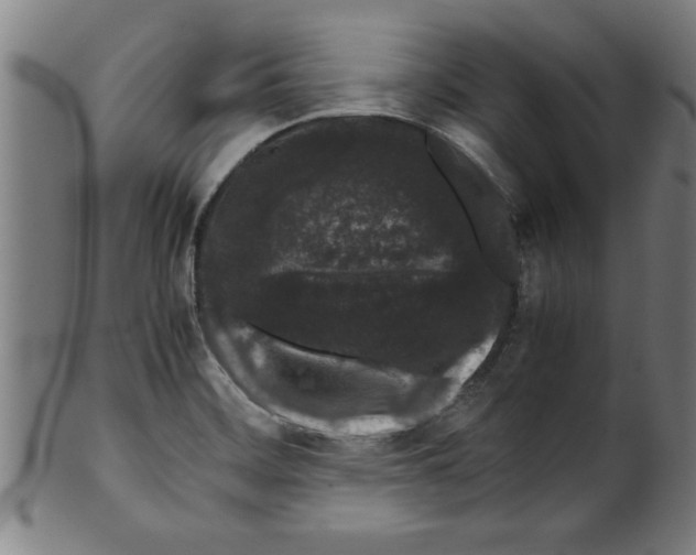 X0000099471468200806061208