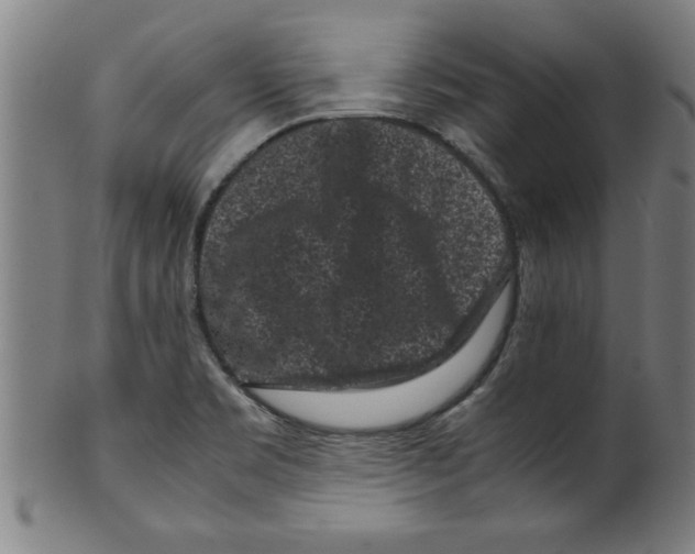 X0000099471469200806061208