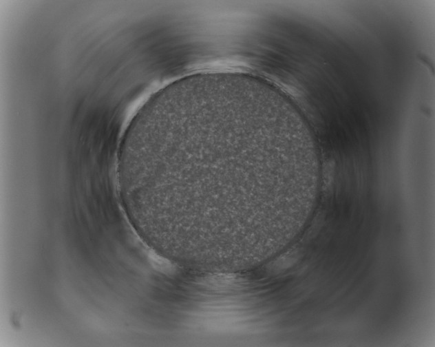 X0000099471470200806061208