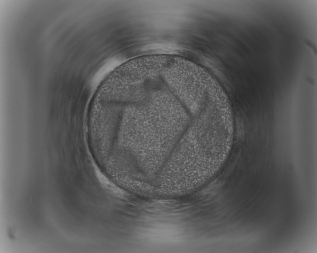 X0000099471471200806061208