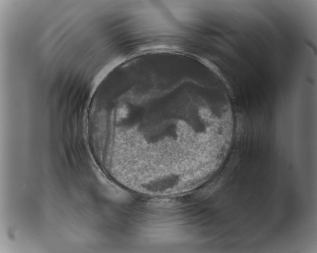 X0000099471474200806061208