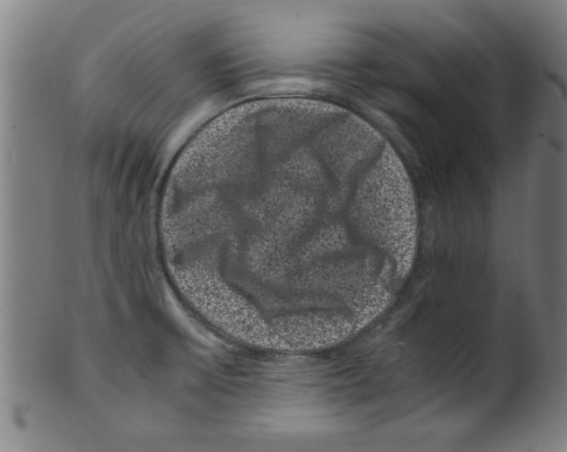 X0000099471475200806061208