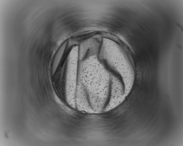 X0000099471476200806061208