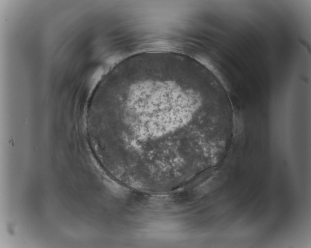 X0000099471477200806061208