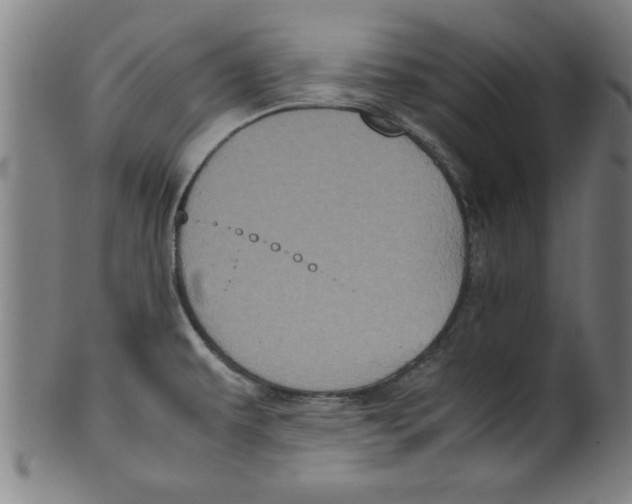 X0000099471479200806061208