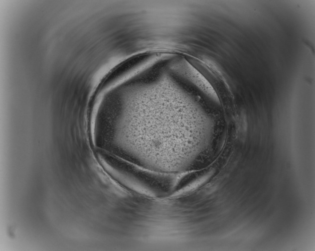 X0000099471480200806061208