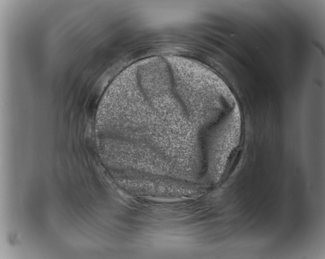 X0000099471481200806061208