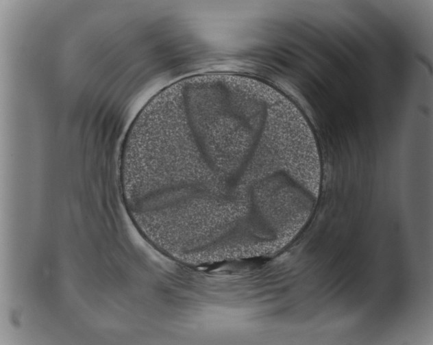 X0000099471483200806061208