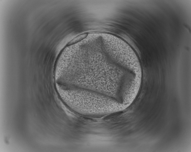 X0000099471485200806061208