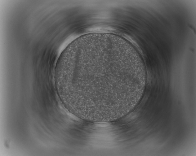 X0000099471486200806061208