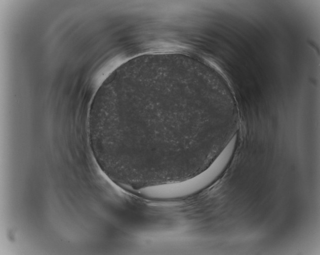 X0000099471487200806061208