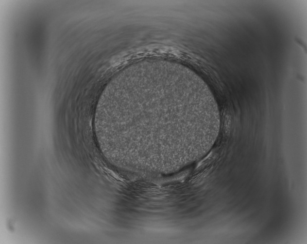 X0000099471489200806061207