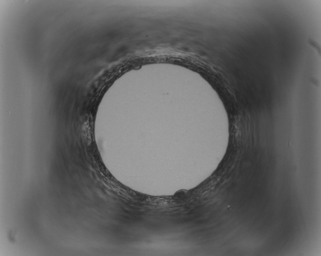 X0000099471493200806061207