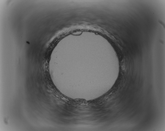 X0000099471495200806061207