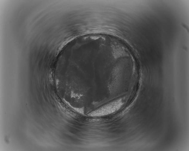 X0000099471497200806061207