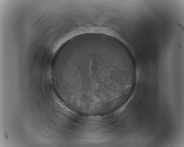 X0000099471498200806061207