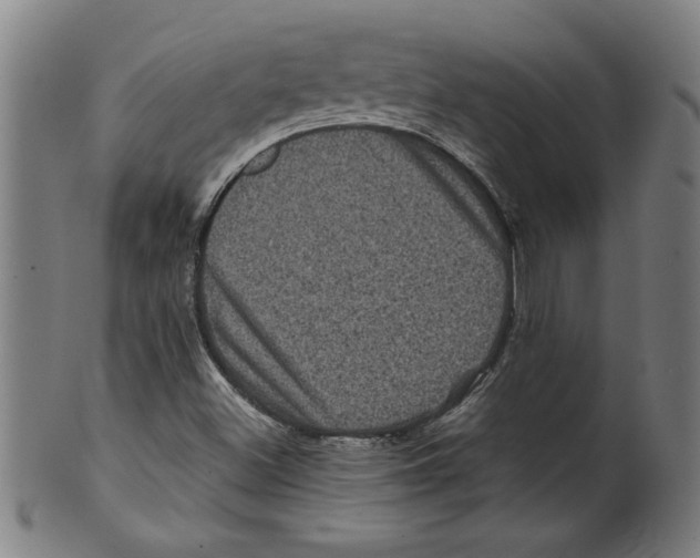 X0000099471500200806061207